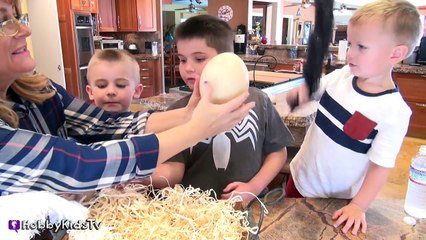 GIANT Ostrich Egg Science and Fs