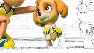 Coloring Ryder Skye & Rubble Pups Paw Patrol Coloring Pages Video for Kids