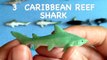 GORGEOUS WILD SEA ANIMALS TOYS COUNTING TO 20 LEARN ANIMAL SHARKS NAME WHILE LEARNING TO C