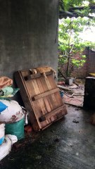 Messing with a Sleeping Kitty