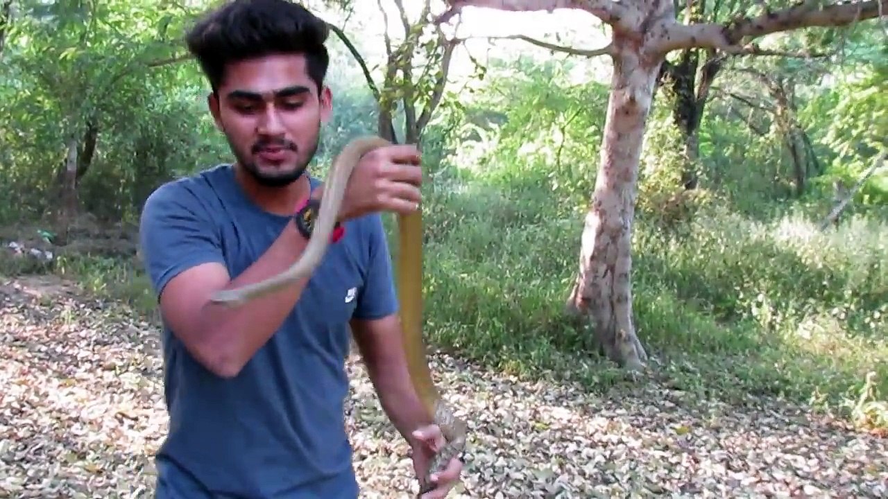 my jungle safari=the ultimate snake u never seen...... with shabab alam :-)