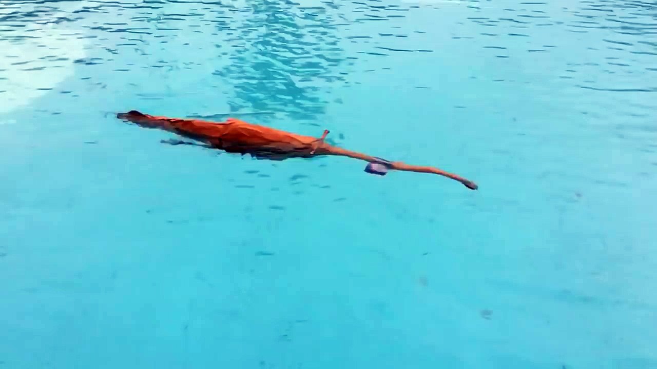 Tully monster robot fish.