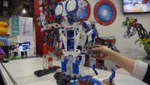 Meccano Robots