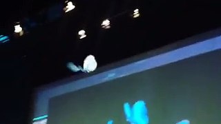Robotic butterfly