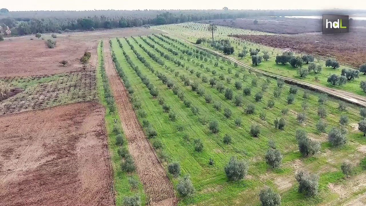 HDL Ec2ce, inteligencia artificial y big data para combatir plagas en el sector agrario