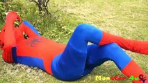 Ultimate spider man real life - spiderman vs hulk super hero ultimate | Hero Monster IRL