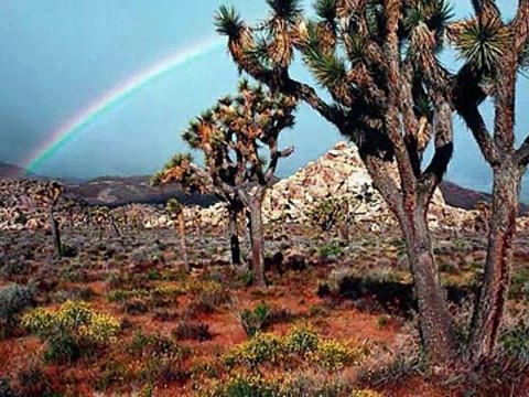 Somewhere Over the Rainbow - Native American flute