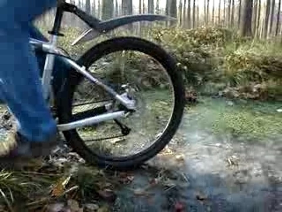valentin nils jonathan en foret de soigne en hiver