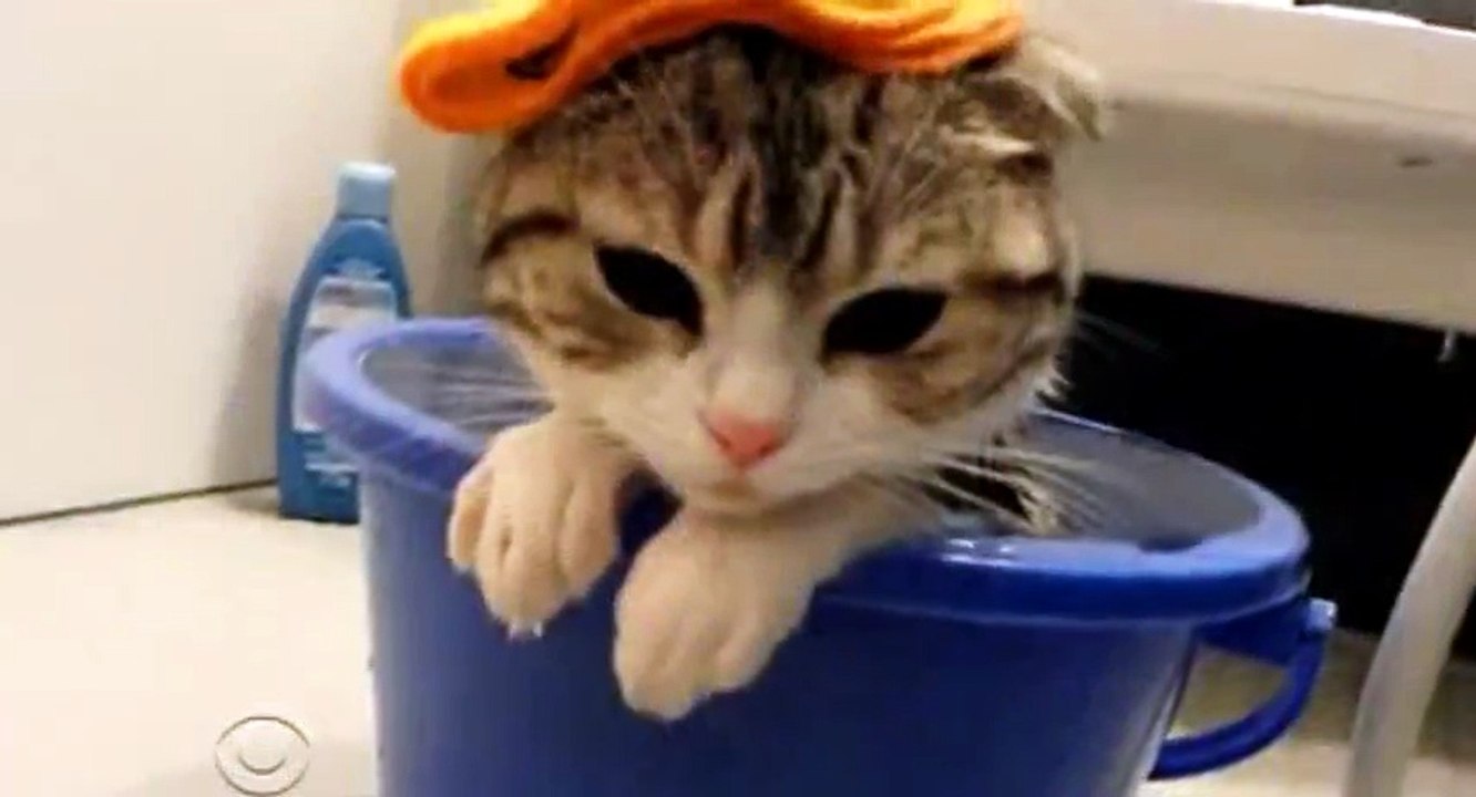 Late Late Show with James Corden S01 - Ep68 Johnny Knoxville, Natasha Leggero, Robin Thicke HD Watch