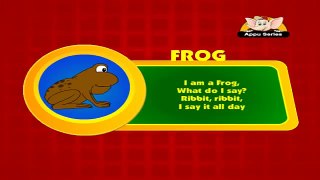 Animal Sounds - Frog