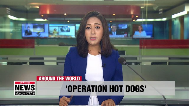 Operation Hot Dogs in Swiss capital launches heat-proof shoes for police dogs