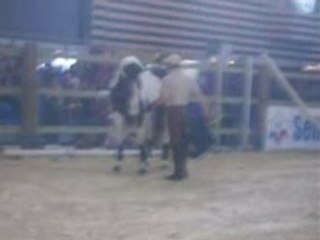 Andy Booth, Equita'Lyon 2007