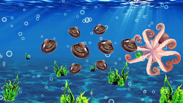 한국어ㅣ꼬꼬와 함께 재밌는 숫자놀이!! 어린이 숫자공부, 교육 만화, 동물 애니메이션, 컬렉타 #169ㅣ꼬꼬스토이