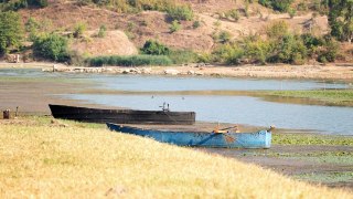 Fugler Nord Hellas new. Birding in North Greece, Lake Kerkini new