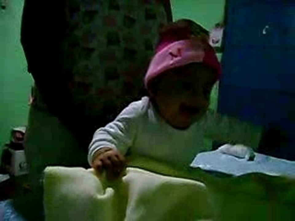 Pollito