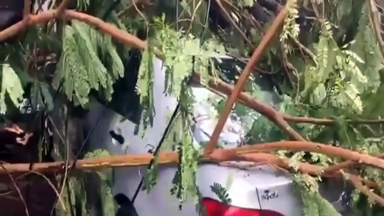 Nary News, ដើមឈើបាក់សង្កត់រថយន្ត១គ្រឿង ផ្លូវកម្ពុជាក្រោម, khmer fresh news today