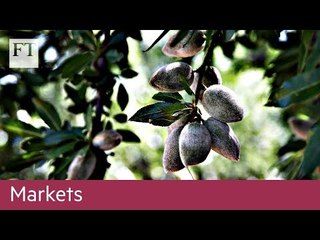 Trade war shakes almond farmers' tree