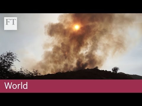Forest fires stoke climate change debate