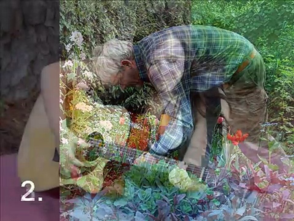 Recreation: What do you like doing in your free time? (Hobbies)