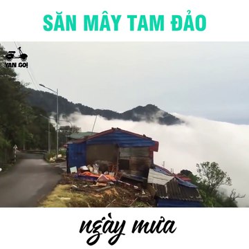 Muốn săn mây, thì đi Du lịchTam Đảo mùa này - Ohman.vn