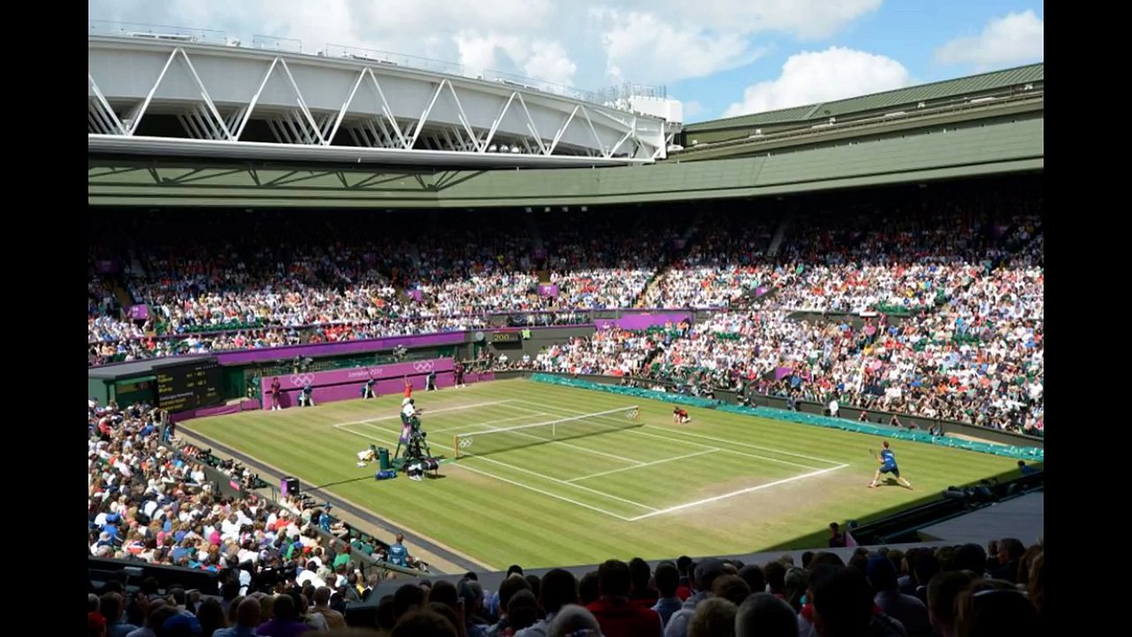 wimbledon 2017 : one man and his dog  .