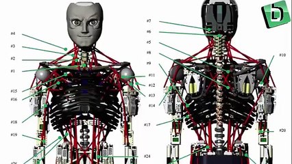 Şınav Çeken Robot : KENGORO (Push-ups pull Robot: KENGORO )