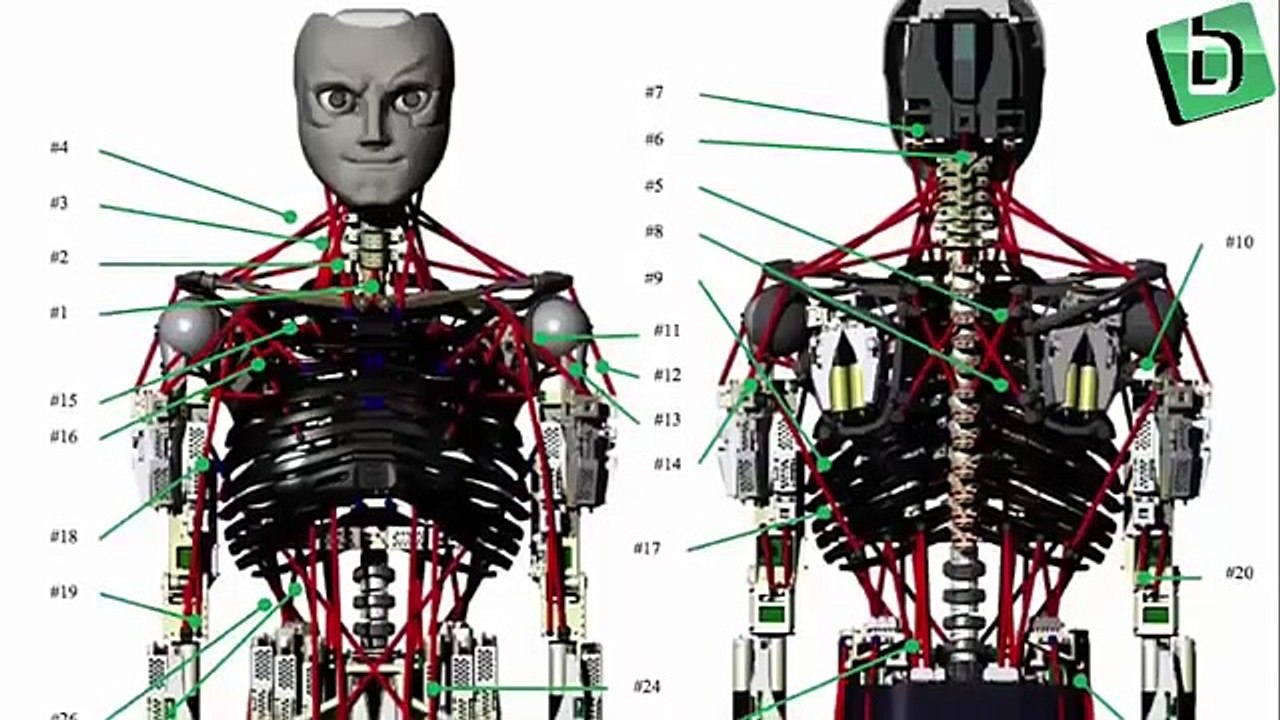 Şınav Çeken Robot : KENGORO (Push-ups pull Robot: KENGORO )