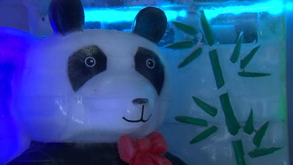 [날씨] 폭염? 춥다 추워!...얼음 왕국 피서법 / YTN