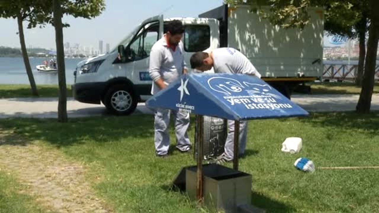 Küçükçekmece'de Sokak Hayvanlarına Yem ve Su Takviyesi