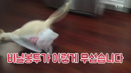 [영상] 일회용품이 이렇게 무섭습니다 / YTN