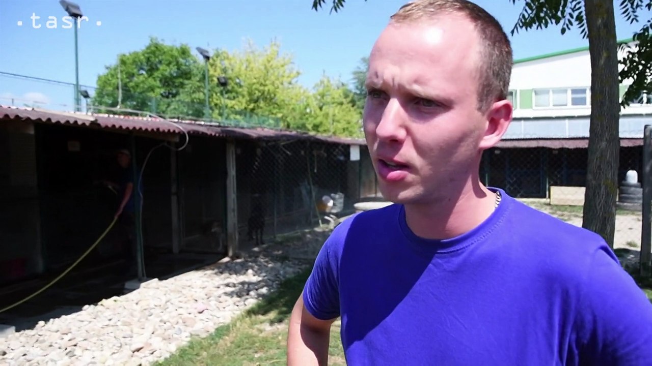 Horúčavy trápia aj zvieratá v útulku