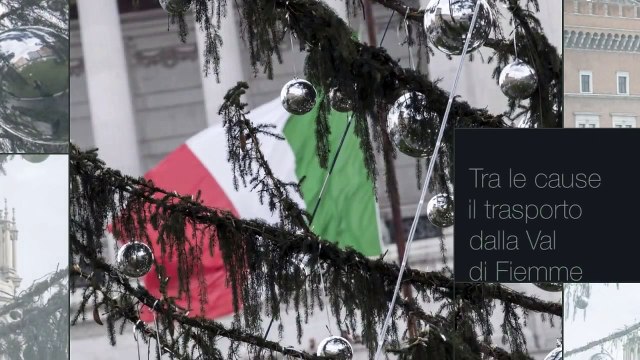 Roma, è morto 'Spelacchio' l'albero di Natale da 50mila euro - Notizie.it