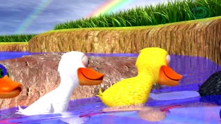 Six Little Ducks Childrens music and songs for kids