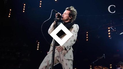 Harry Styles célibataire : avec Camille Rowe, c'est fini !