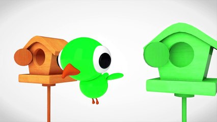 Learn Colors With Bird Animals & Learn Fruit Names Surprise Egg Videos For Kids