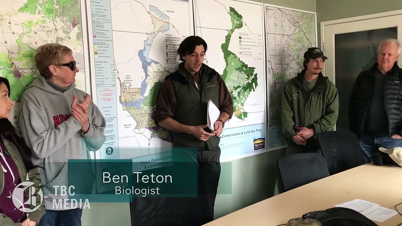 Golden eagle recovery