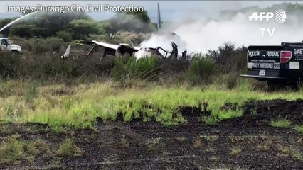 Mexican plane crashes at airport