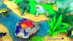 Kids Toys Gila Monster Frill Necked Lizard Bearded & Komodo Dragon Learn about LIZARDS in