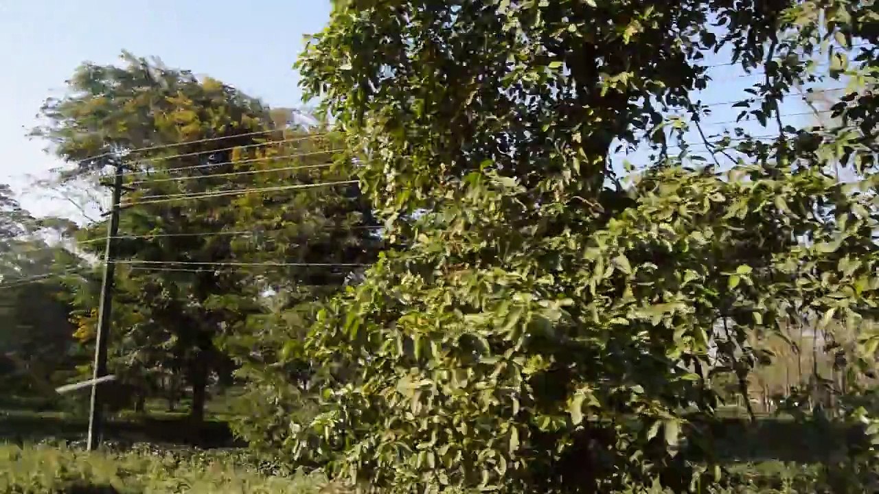 JHAPA TO KTM KO YATRA WITH CHIYA BARI