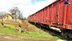 060-DA 60-1665-8 & Marfar DB Cargo Freight Train in Oradea Est Triaj - 02 April 2018