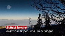Eclissi Lunare- arriva la SuperLuna blu di sangue - Notizie.it