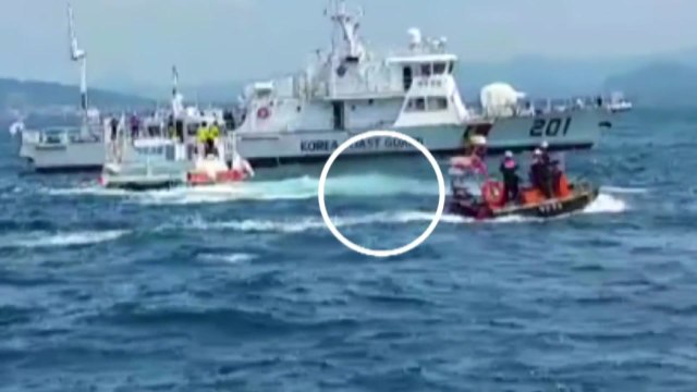 제주 실종 여성 시신 발견... 범죄 피해 가능성 낮아 / YTN