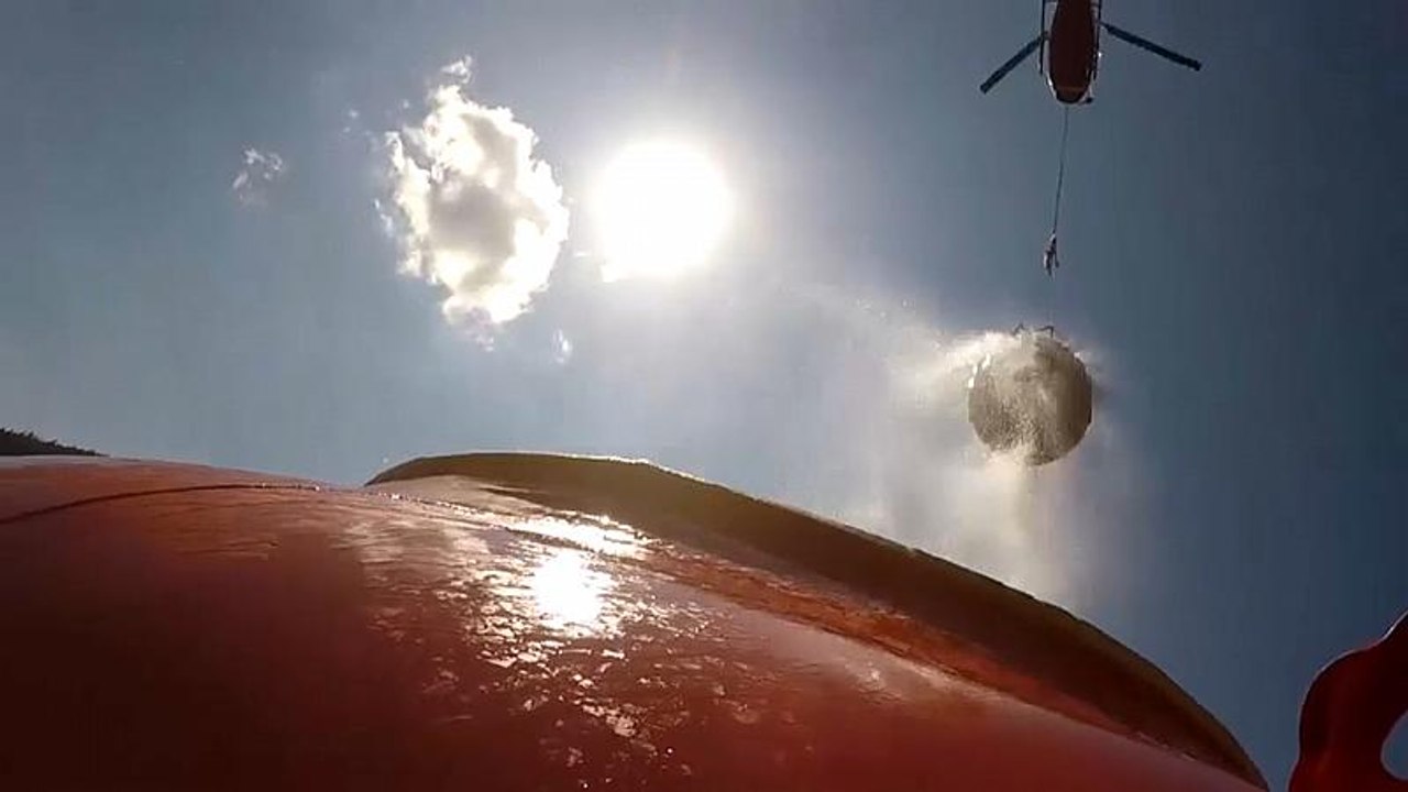 Les vaches trinquent à la fête nationale