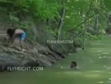 He A Real One Dude Saves His Friend From Being Killed By An Alligator In The Most Epic Way Ever