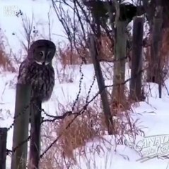 Это я с утра ☀️