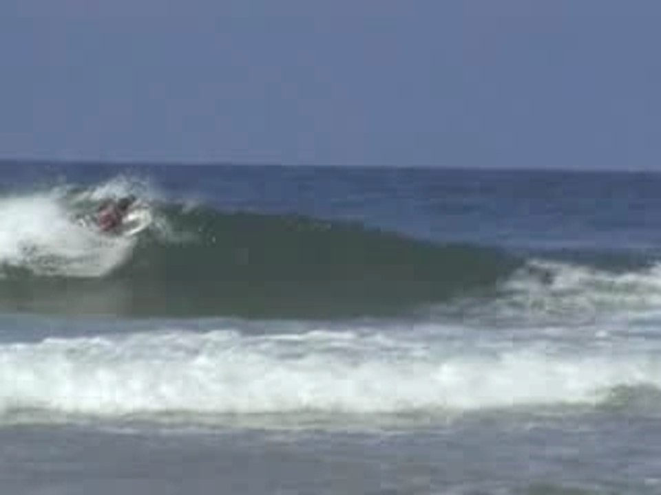 MOV036