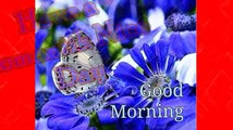 Good Morning Wishes Greetings Wallpaper E cards Quotes Image Good Morning Message