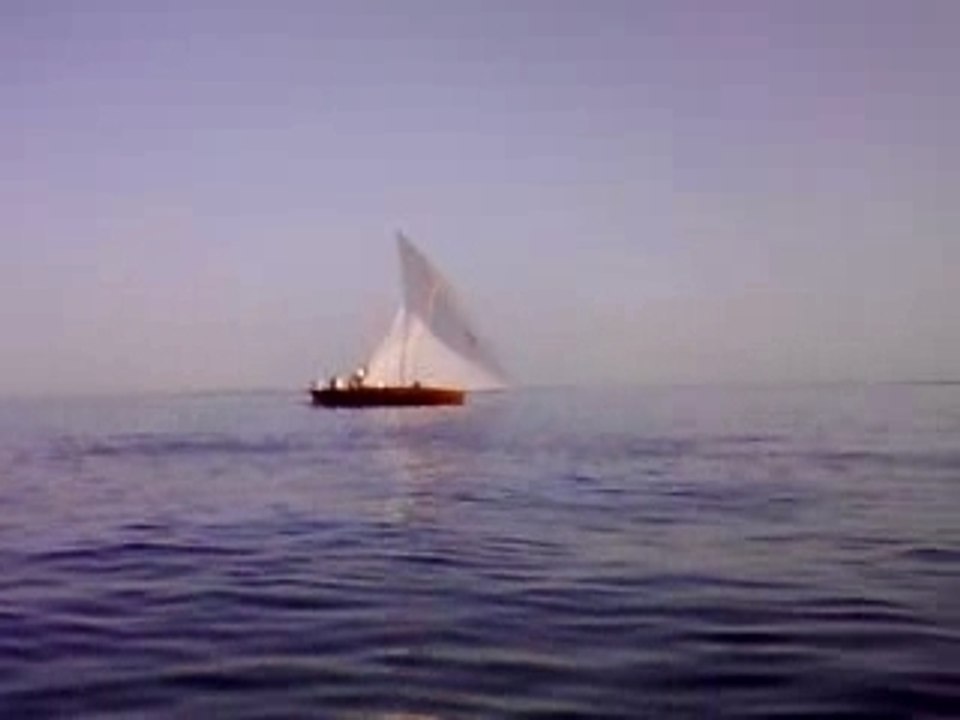 Sailing 15