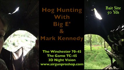 Airgun Angie’s Second Hog with the Winchester 70-45!