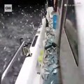 Des sardines sautent sur le bateau d'un pêcheur